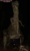 ricktrex.jpg (43439 bytes)