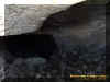 2rocksgalore.jpg (76103 bytes)
