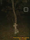 treecrossorb.jpg (30397 bytes)