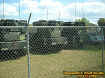 jeeps.jpg (54076 bytes)