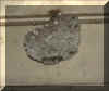 railcarhive.jpg (15529 bytes)