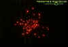 july2006wirefireworks.jpg (15208 bytes)