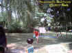 markball2003.jpg (49486 bytes)