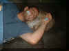 pgshousewarmingpartyjason12.jpg (20854 bytes)