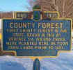parkhistoricalsign.jpg (10864 bytes)