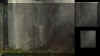 foundationghost.jpg (30960 bytes)