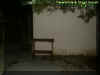 backyard1.jpg (20123 bytes)
