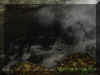 1creepingmist2.jpg (28242 bytes)