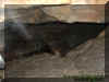3cavernectostreak.jpg (33364 bytes)