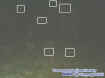 0childrenorbs.jpg (17617 bytes)