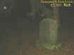 0mossynightstone.jpg (21042 bytes)