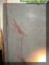 blood5.jpg (25179 bytes)