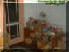baskets.jpg (25544 bytes)