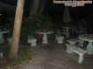 foodcourt.jpg (31258 bytes)