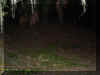 moundnighttime.jpg (30070 bytes)