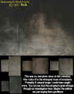 lastectophoto.jpg (55229 bytes)