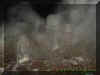 gravemist2.jpg (25948 bytes)