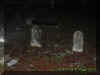 gravemist4.jpg (28064 bytes)