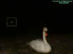 swanorb.jpg (41345 bytes)