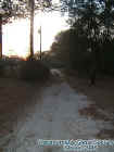 dirtroad.jpg (32051 bytes)