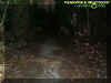hauntedtrail.jpg (32199 bytes)