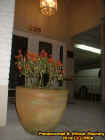 flowerpot.jpg (25278 bytes)