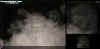 graveface.jpg (36878 bytes)