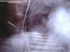 mansion3stairsecto.jpg (22006 bytes)