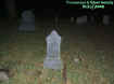 graves1.jpg (37755 bytes)