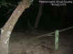 brokenwoodfence.jpg (22505 bytes)
