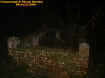 brickwallvines.jpg (39987 bytes)