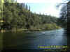 river3.jpg (70184 bytes)