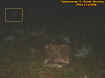 doublestoneorb.jpg (34403 bytes)