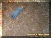 groundglove.jpg (54603 bytes)