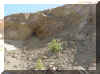 mine12.jpg (36349 bytes)