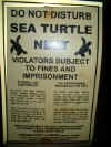 turtlenestsign.jpg (25950 bytes)