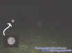 glowingball.jpg (14682 bytes)