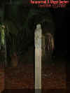 totem1.jpg (30528 bytes)