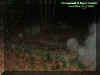 groundecto1.jpg (30267 bytes)