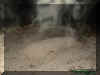 moundhumanoidentity.jpg (41855 bytes)