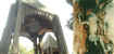 freedomparkricklurking.jpg (45963 bytes)