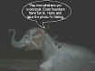 rickonelephant.jpg (24715 bytes)