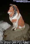 smokingdog.jpg (39679 bytes)