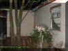 yard.jpg (29301 bytes)