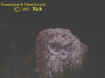 rockalien.jpg (19765 bytes)