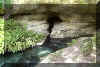 springheadandcave.jpg (27655 bytes)
