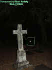 crossorb.jpg (24441 bytes)