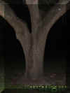 tree.jpg (19427 bytes)