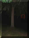 treeorb.jpg (17703 bytes)