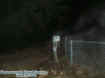 fencemist1.jpg (29355 bytes)